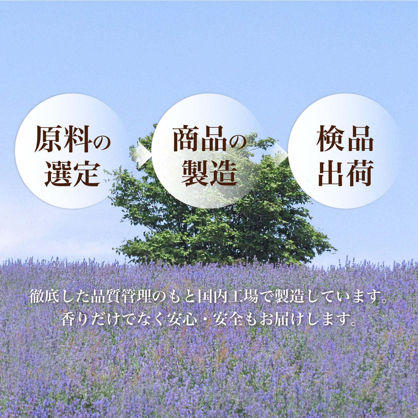 hono asobi ラベンダー スティックタイプ 30本 ※香立付き