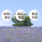 hono asobi ラベンダー スティックタイプ 30本 ※香立付き